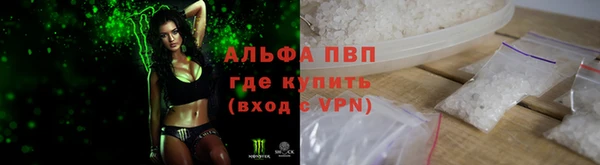 PSILOCYBIN Абаза