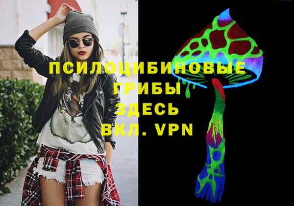 бошки Алексин