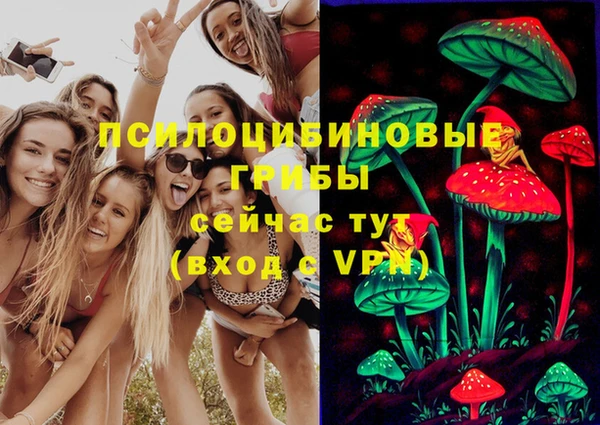 ECSTASY Алзамай