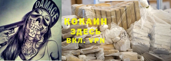 ECSTASY Алзамай